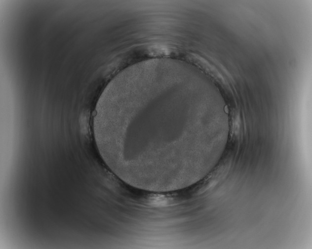 X0000093450616200711091514