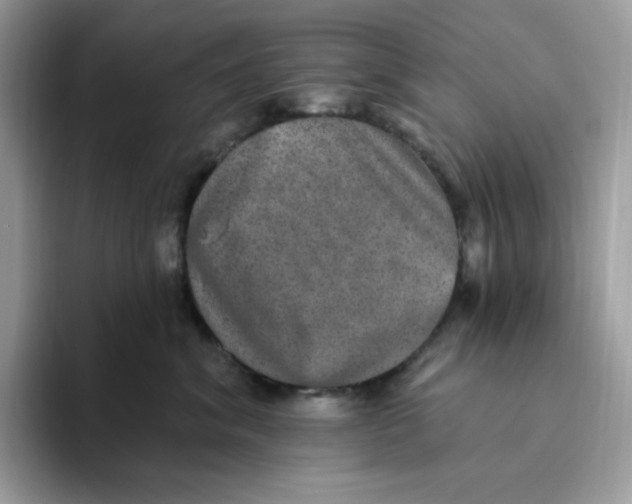 X0000093450620200711091514