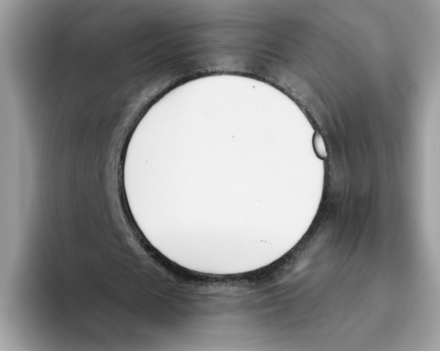 X0000093450625200711091513