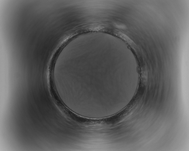 X0000093450626200711091513