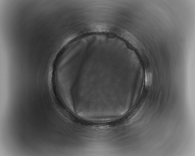 X0000093450627200711091513