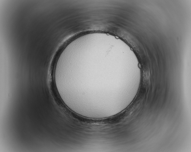 X0000093450628200711091513