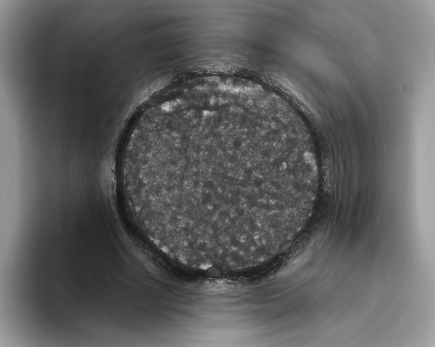 X0000093450634200711091513