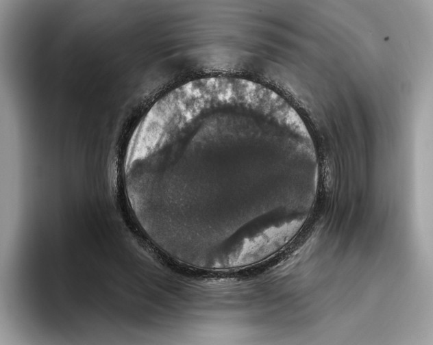 X0000093450637200711091513