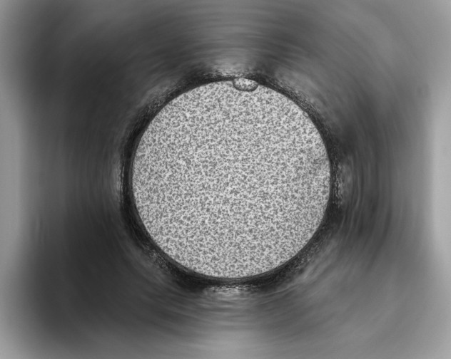 X0000093450639200711091513