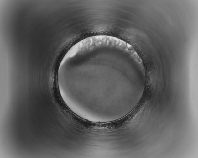 X0000093450640200711091513