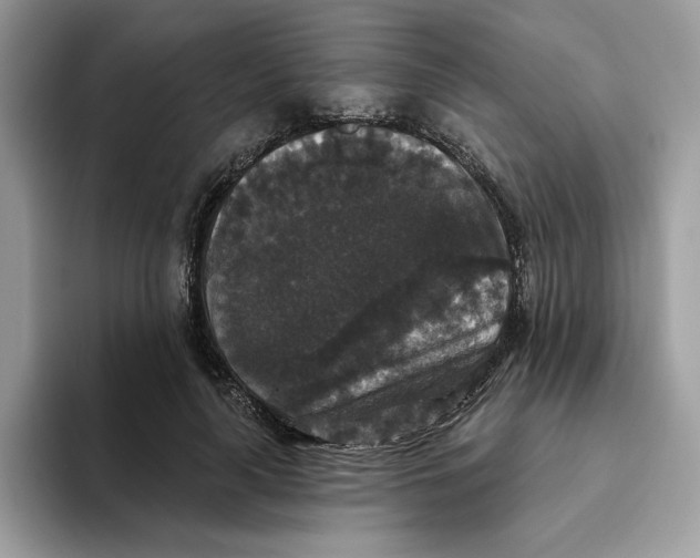 X0000093450643200711091513