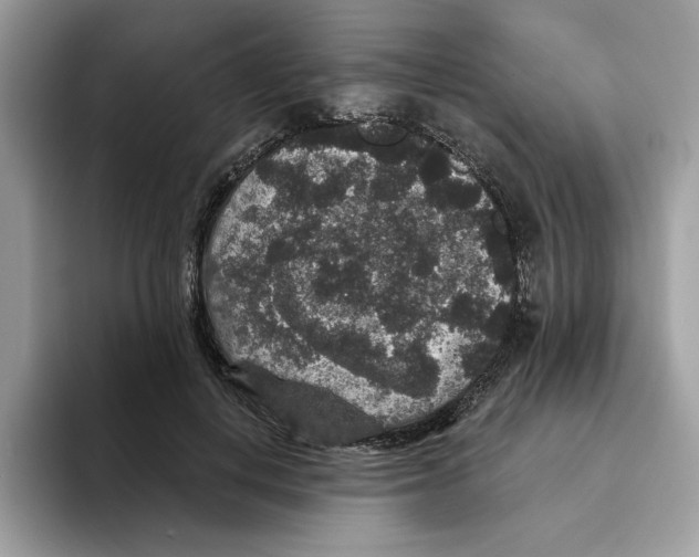 X0000093450648200711091513