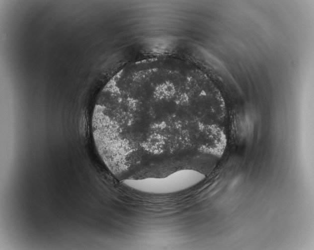 X0000093450651200711091513