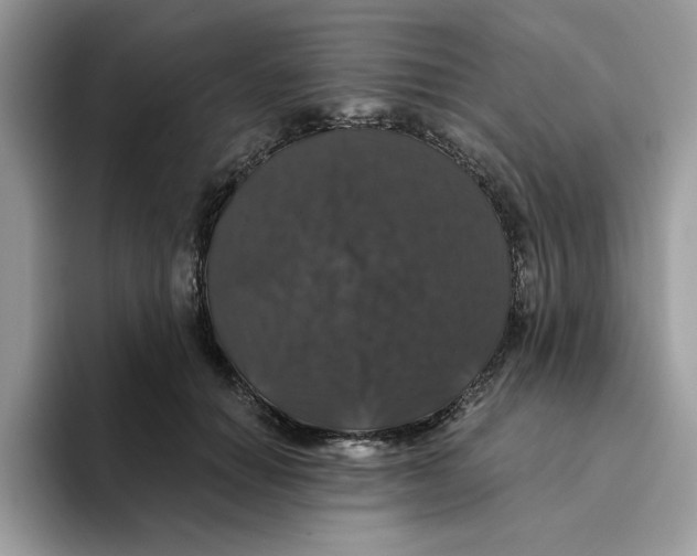 X0000093450654200711091513