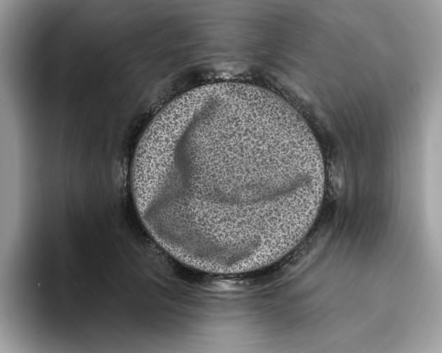 X0000093450657200711091513