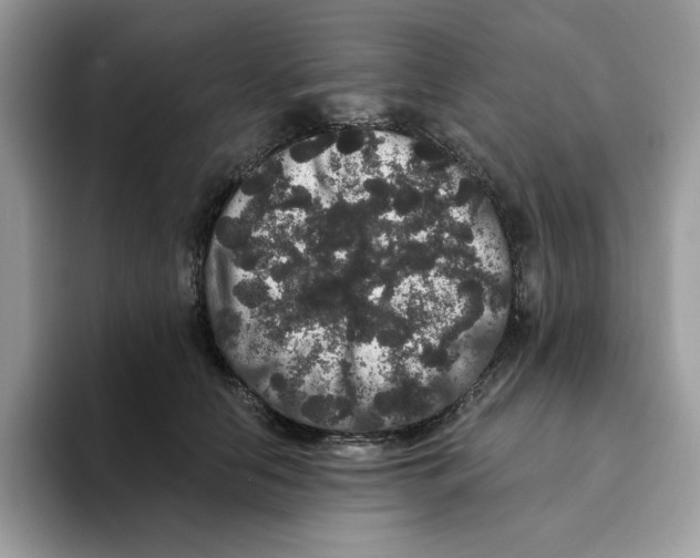 X0000093450658200711091513