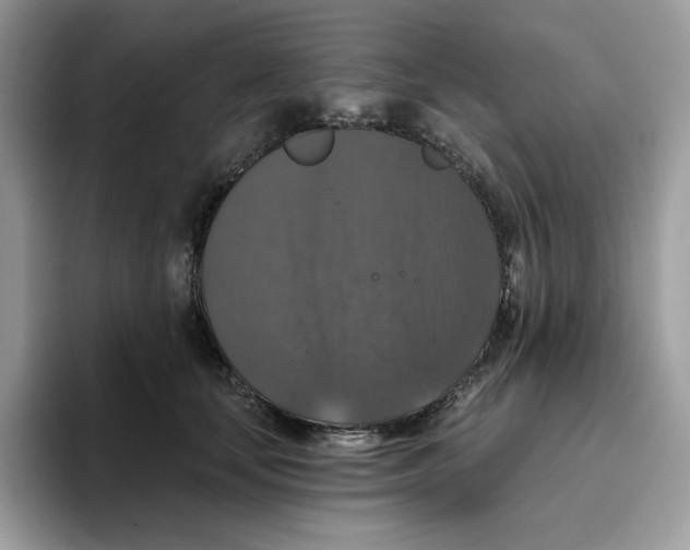 X0000093450659200711091513