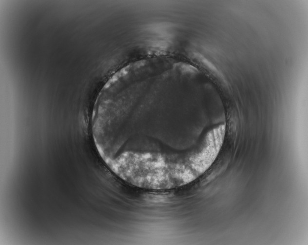 X0000093450661200711091513