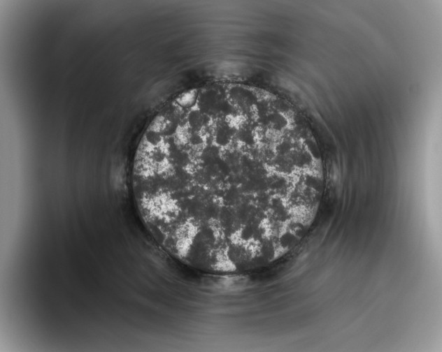 X0000093450663200711091513