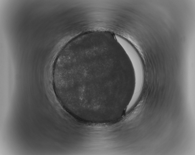 X0000093450673200711091513