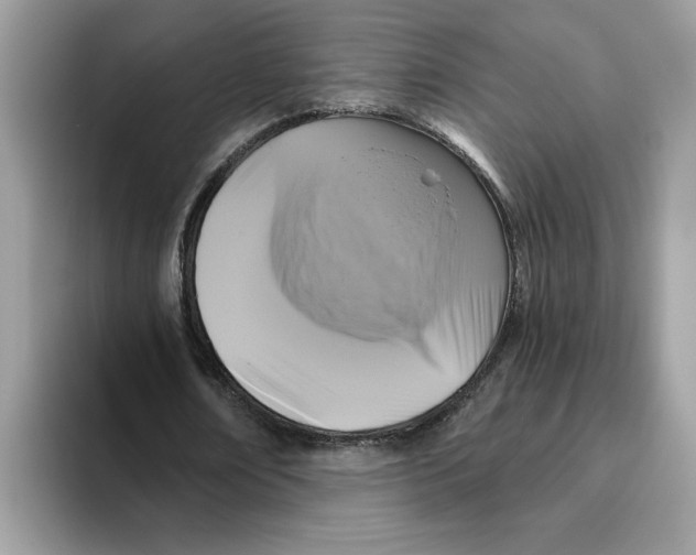 X0000093450674200711091513