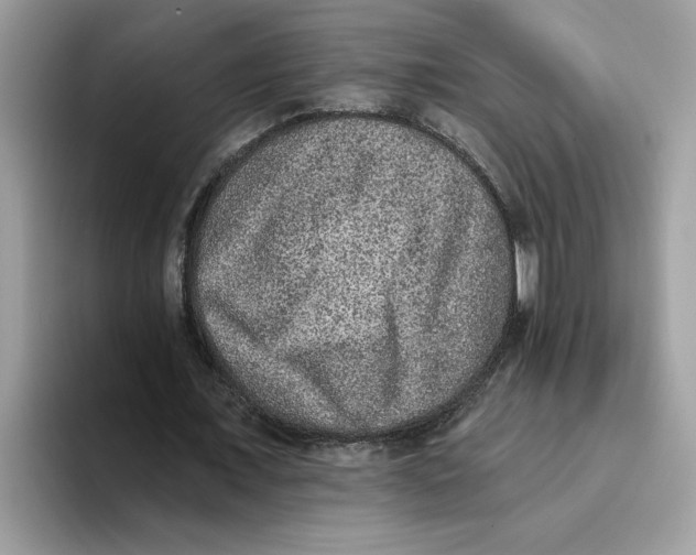 X0000093450675200711091513