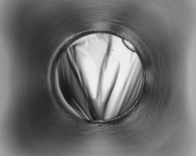 X0000093450676200711091513