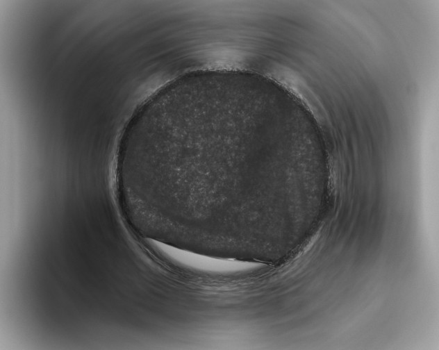 X0000093450677200711091513