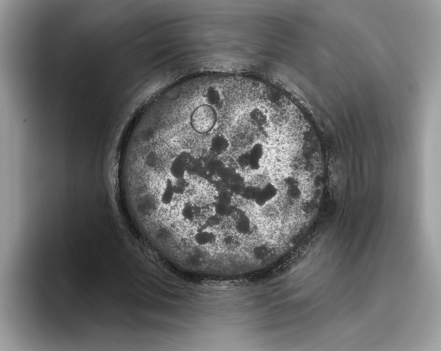 X0000093450679200711091513