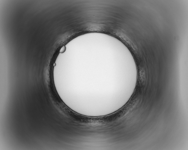 X0000093450682200711091513