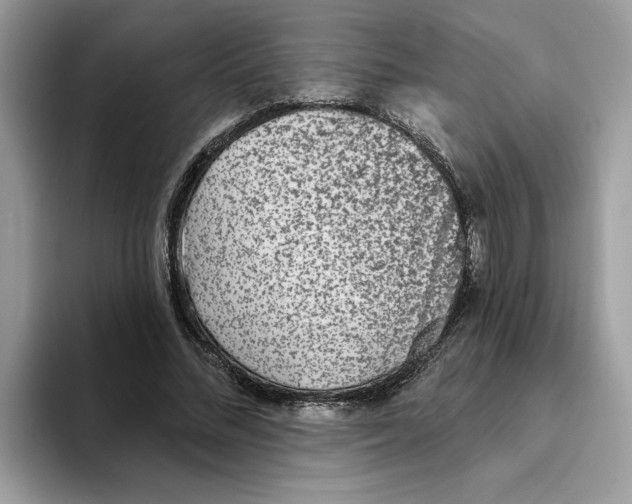 X0000093450684200711091513