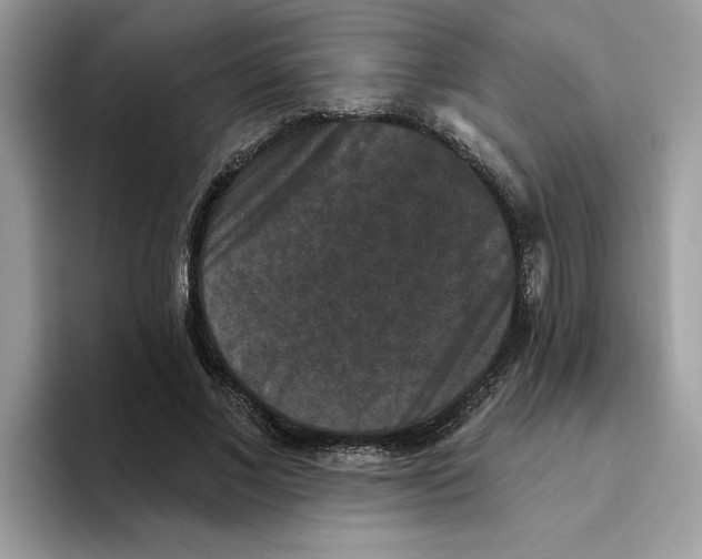 X0000093450685200711091513