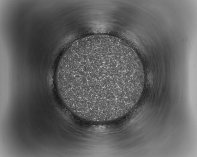 X0000093450687200711091513