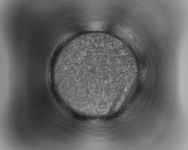 X0000093450688200711091513