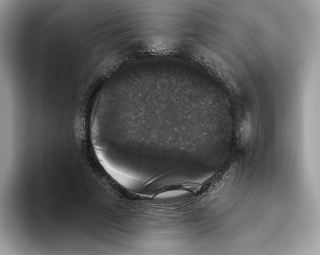 X0000093450689200711091513