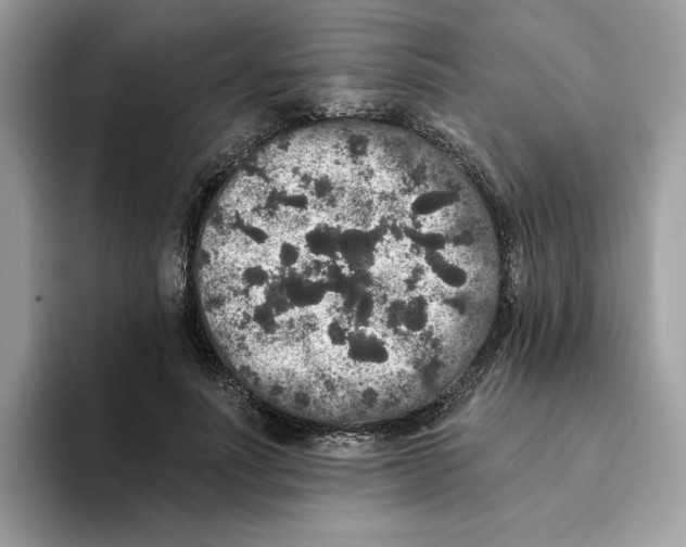 X0000093450691200711091513