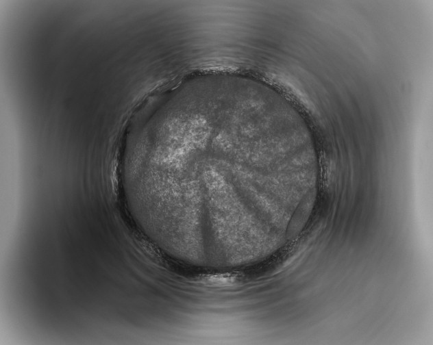 X0000093450692200711091513