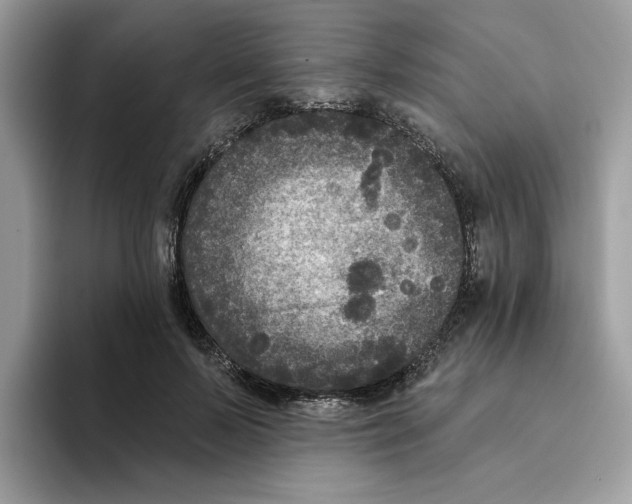 X0000093450695200711091513