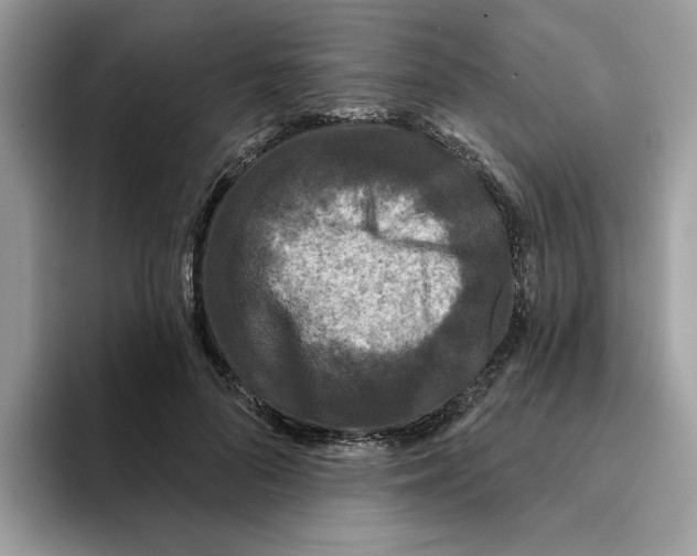 X0000093450696200711091513