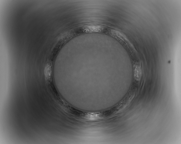 X0000093450701200711091513