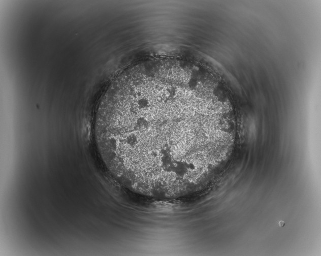 X0000093450703200711091513