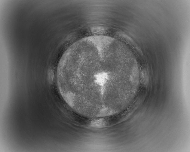 X0000093450705200711091513