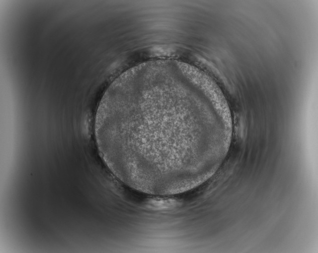 X0000093450712200711091512