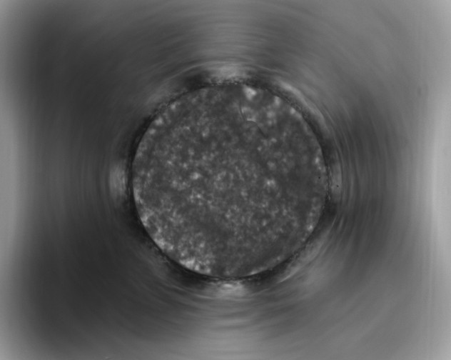 X0000093450715200711091512