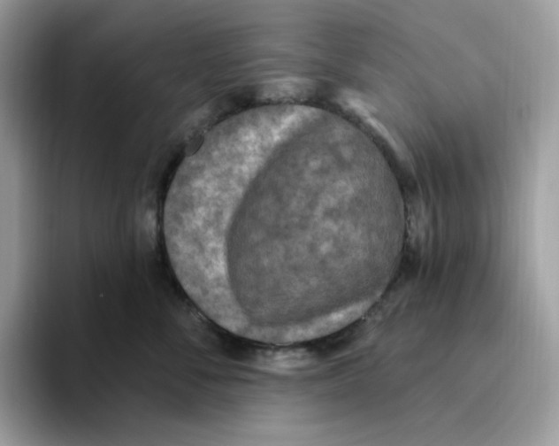 X0000093450716200711091512