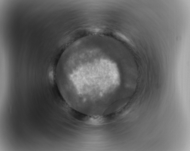 X0000093450720200711091512