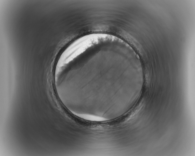 X0000093450721200711091512