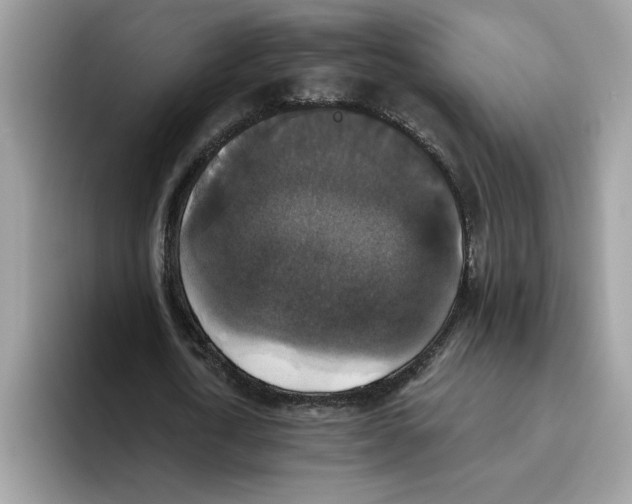 X0000093450722200711091512