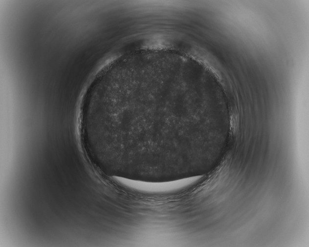 X0000093450724200711091512