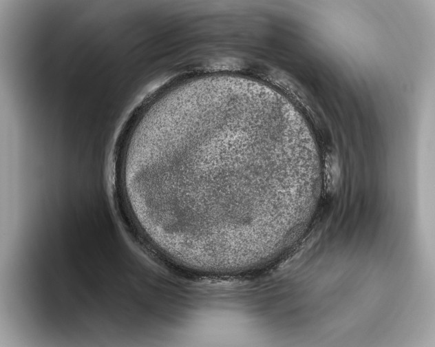 X0000093450726200711091512