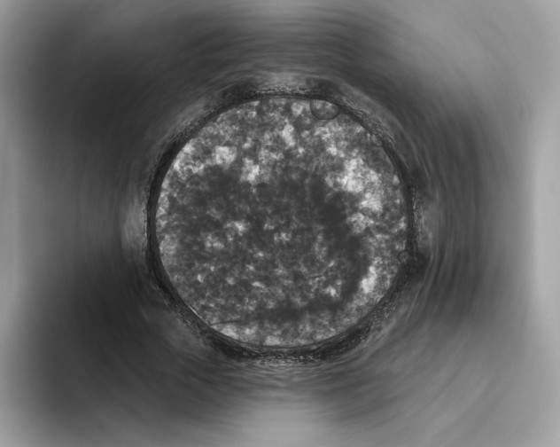 X0000093450729200711091512