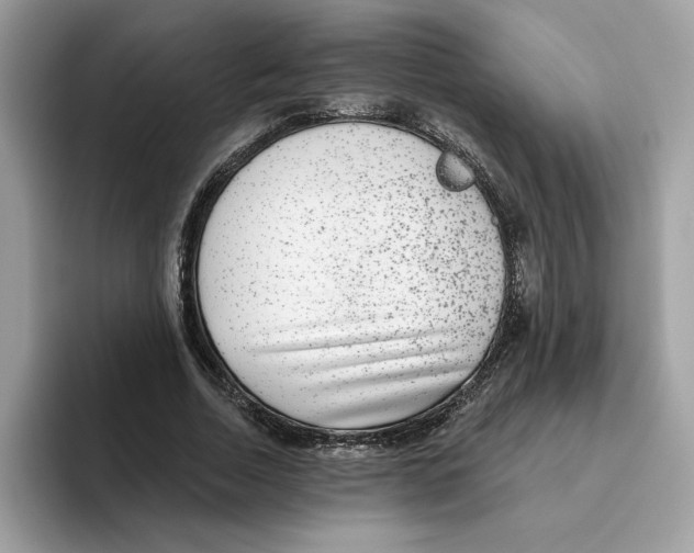 X0000093450730200711091512