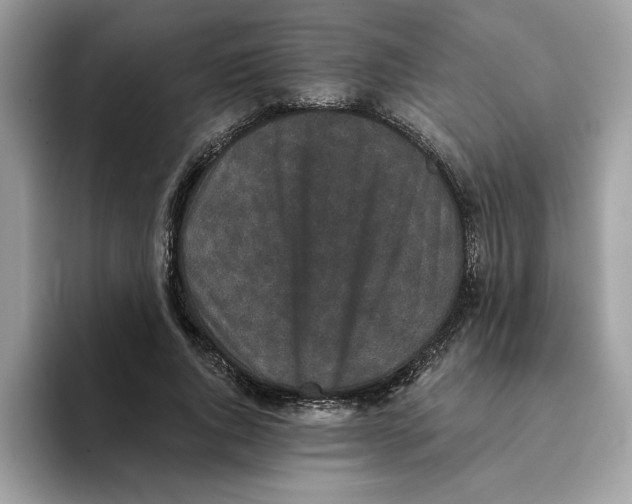 X0000093450736200711091512