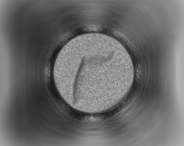 X0000093450739200711091512